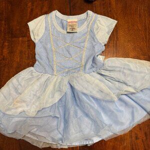 18M Disney Princess Dress Lot (2 Dresses)